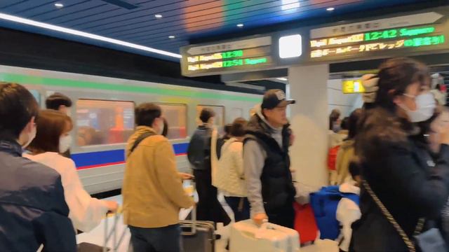 Hokkaido to Tokyo Vlog || Domestic flight in Japan смотреть онлайн