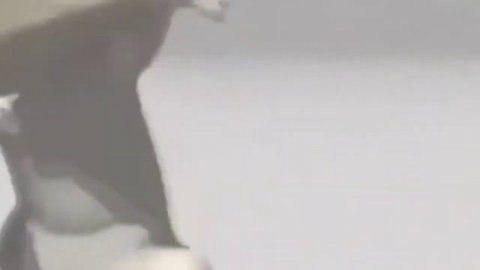 тыщ тыгыдыгыдыщ тыщ тыгыдыгыдыщ