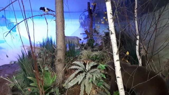 Родина ДИНОЗАВРОВ - город Очер #пермскийкрай #очер смотреть онлайн