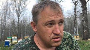 Пасечные весы: механические и электронные - какие лучше?