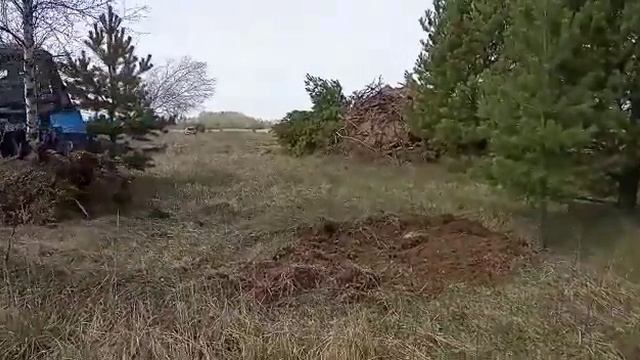 Корчеватель Тракторный остатков деревьев, пней, стволов, кустарников. Работа в движении.