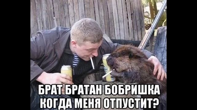 Обычный день. Звонок в полицию Кургана смотреть онлайн