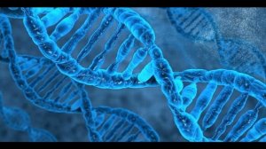 Вирусы: строение и механизм проникновения в клетку. Профилактика вирусных инфекций.