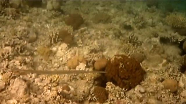 СП. Лучший пляж Эйлата/Израиль смотреть онлайн