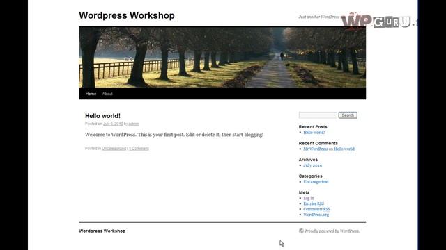 101 - WordPress Anatomy and How to log in смотреть онлайн