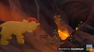 Песня Зиры. Львы гловнее всех!