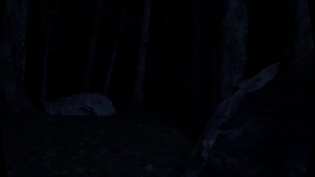 Blood Trail VR: The Most Violent VR Game Ever? (PCVR Oculus Rift S) Gameplay, The_Preacher Plays