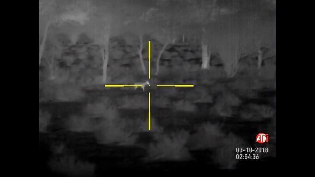 ATN Marsh Thermal 5-50 640 смотреть онлайн