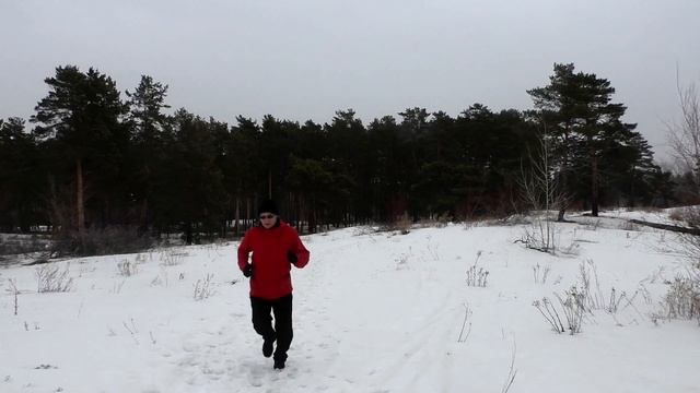 Бег по тропинкам лесопитомника ВНИАЛМИ. Камышин 19 марта 2021 г. смотреть онлайн