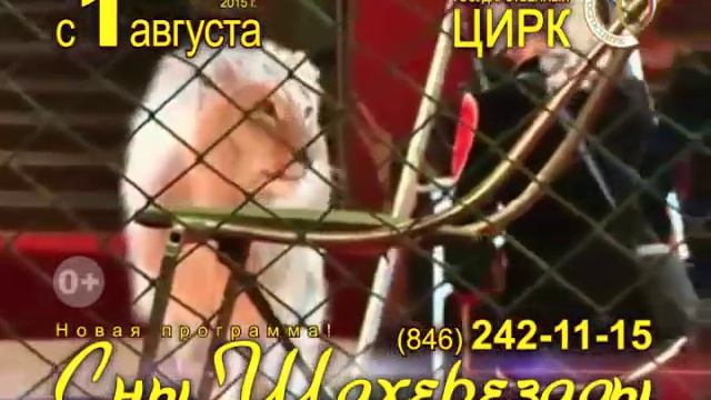 «СНЫ ШАХЕРЕЗАДЫ» в Самарском цирке смотреть онлайн