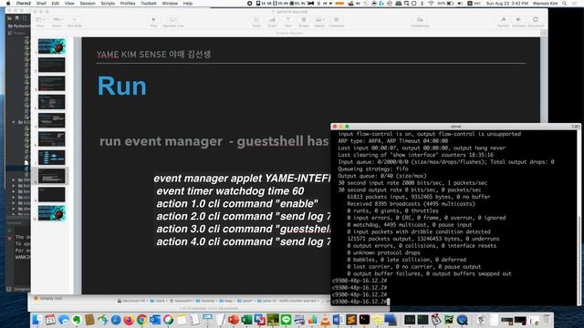 Switch Incoming Traffic Monitoring #Python #Catalyst #Guestshell смотреть онлайн
