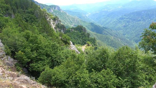 Диви кози в резерват Червената стена смотреть онлайн