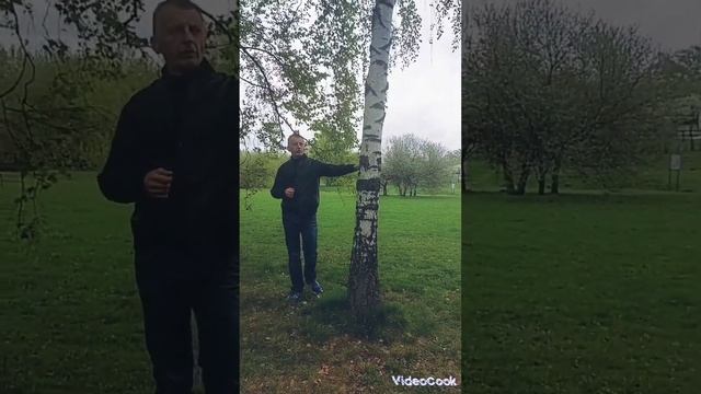 ? Белая береза я люблю тебя ? смотреть онлайн