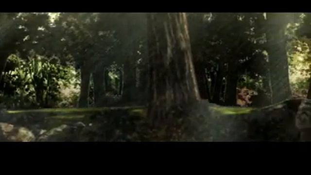 Final Fantasy Tactics (PSP) To Orbonne смотреть онлайн