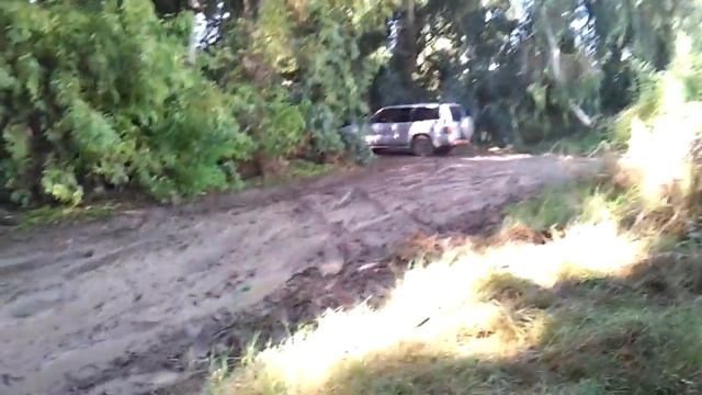 Suzuki Jimny VS Wolksvagen Touareg 4x4 mudding offroad (24.11.2012) Israel смотреть онлайн