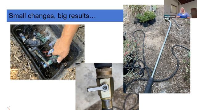 Tips and Tricks for Waterwise Landscapaing смотреть онлайн