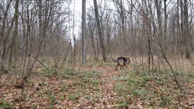 VLOG#1 .Харьковская область город Пивденне (Kharkiv region Pivdenne city) смотреть онлайн