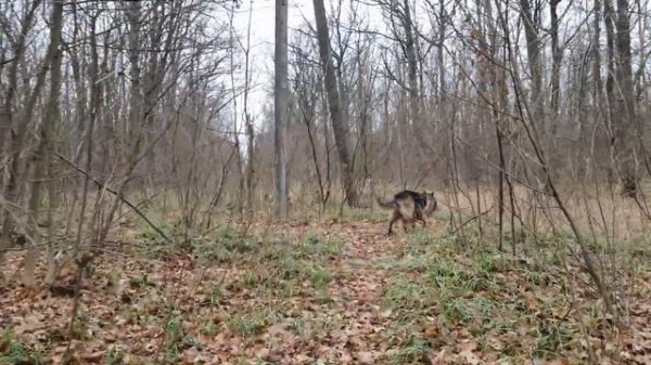 VLOG#1 .Харьковская область город Пивденне (Kharkiv region Pivdenne city)