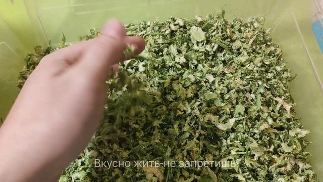 Стеблевой сельдерей для натуральной овощной приправы смотреть онлайн