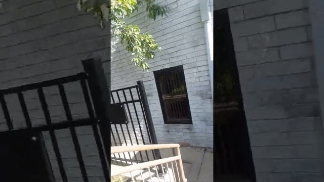 6.15.21 V-Log| CSS| Not the Routine| Unexpected but Expected (1) смотреть онлайн