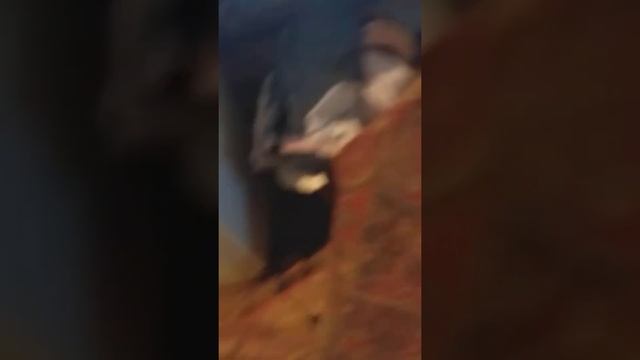 Мы на даче снимаем видео целых 1000000 раз смотреть онлайн