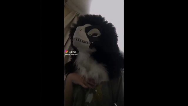 рапторы из лайка 3 часть рекомендации рек раптор