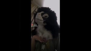 рапторы из лайка 3 часть #рекомендации #рек #раптор