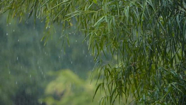 Простое нет. смотреть онлайн