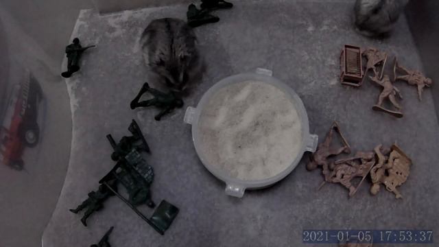Банный день или удачный побег смотреть онлайн