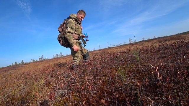 Сбор клюквы. Сибирская ягода. Лучший витамин. смотреть онлайн