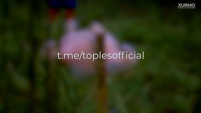 O'limdan Keyin Nima Sodir Bo'ladi? Hayot Tugadi. XO‘SH KEYINCHI? — XURMO [ТОПЛЕС]