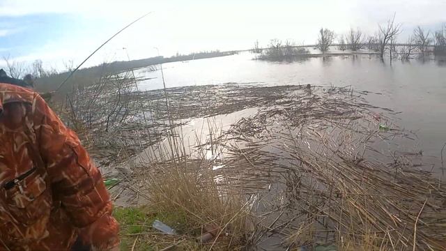 Шапсугское водохранилище- ловля щуки на живца!!! Беззубая щука!!! смотреть онлайн