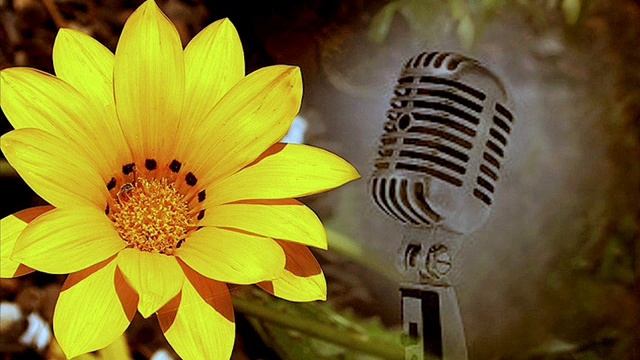 KARAOKE-ASEREJE[LAS KETCHUP] смотреть онлайн