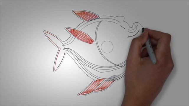 Морские обитатели РЫБА. Как быстро нарисовать морских обитателей смотреть онлайн