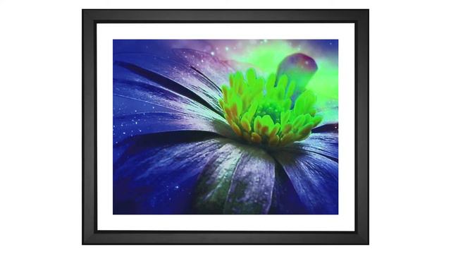 EFX™ Gallery - Flower Balkan Anemone смотреть онлайн