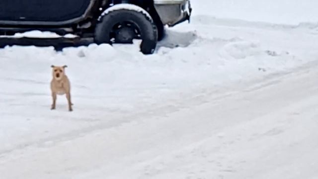 Сахалин Новоалтайск смотреть онлайн