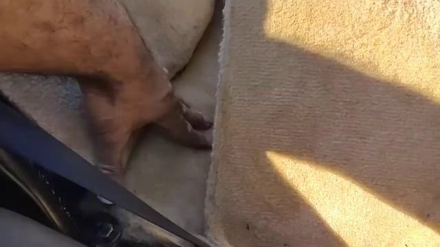 Porsche Boxster 986 - Removed Seats Out To Dry Out The Carpet From Water Leaks From Membrane