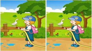 Постарайтесь разглядеть 3 различия в картинках.