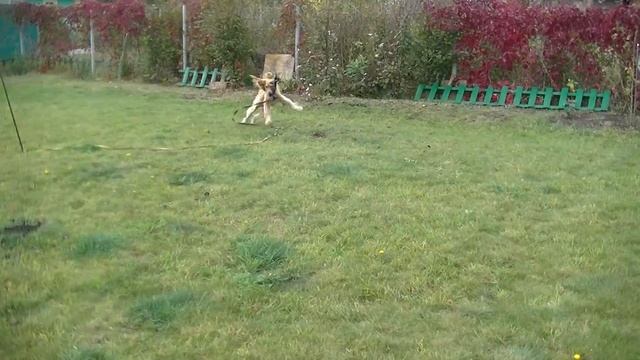 dacha update 5 2018 смотреть онлайн
