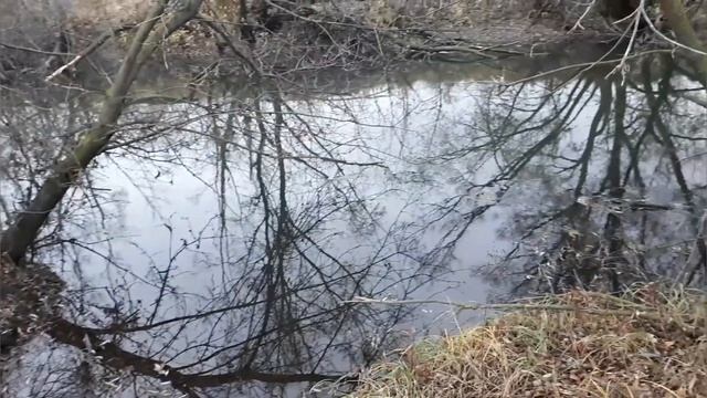 Жив ли Бобёр? Какое ваше мнение? смотреть онлайн