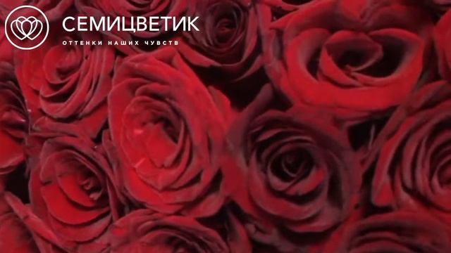 Букет из 101 красной розы (Россия) смотреть онлайн