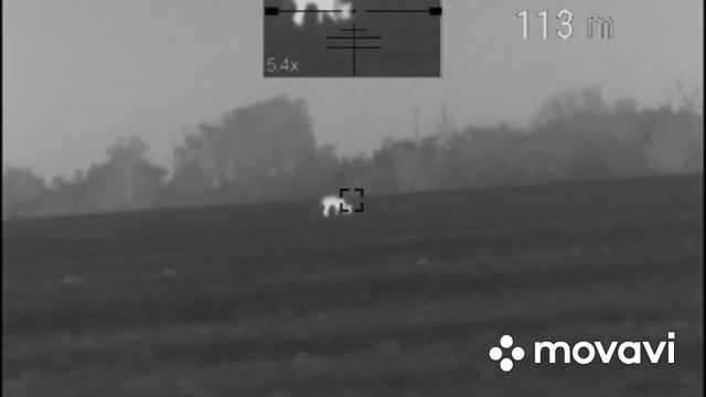 Охота на Волков ? ночью смотреть онлайн