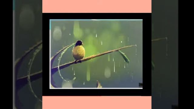 Кыргыз адабият 5-класс. смотреть онлайн