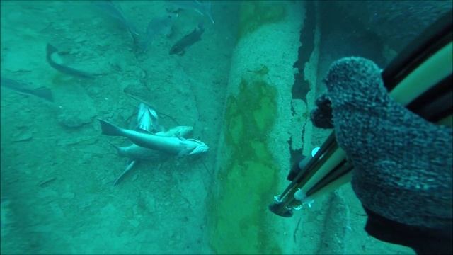 Middle Grounds 2 смотреть онлайн