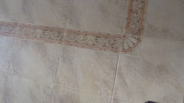 Тамбур,прихожая,зал,кухня - пол плитка с коврами. смотреть онлайн