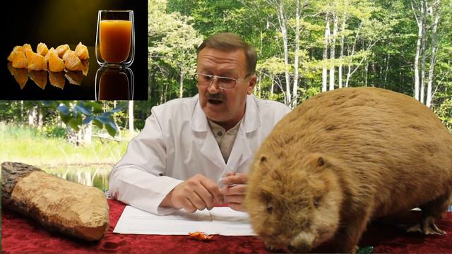 Видео урок здоровья Доктор Бобров смотреть онлайн