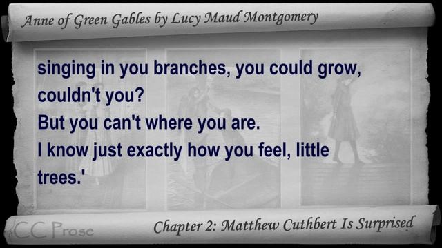 Chapter 02 - Anne of Green Gables by Lucy Maud Montgomery - Matthew Cuthbert Is Surprised смотреть онлайн