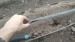 Немного о капельной ленте, зажимах для неё, креплении в грядках и многое другое!)
