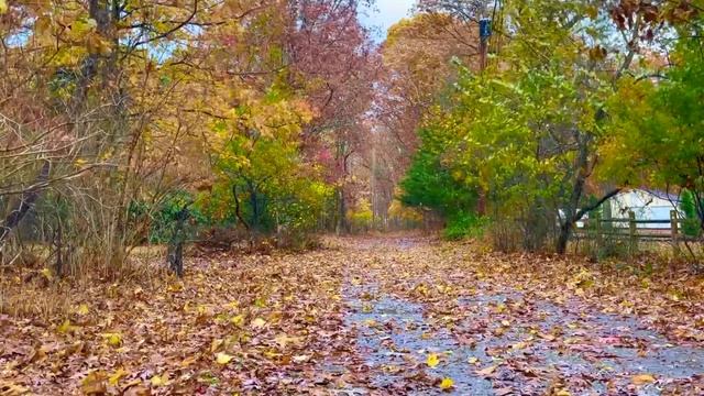 Біологія. 7 кл. Урок 53. Ланцюги живлення, кругообіг речовин і потік енергії в екосистемах смотреть онлайн