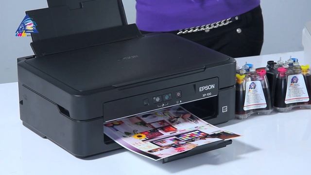 Сравнение Canon PIXMA MG2440 и Epson Expression Home XP-100 смотреть онлайн